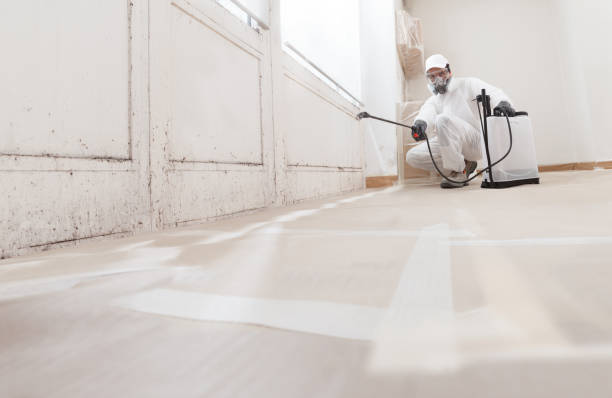 24/7 Emergency Mold Removal experts in Ward, CO